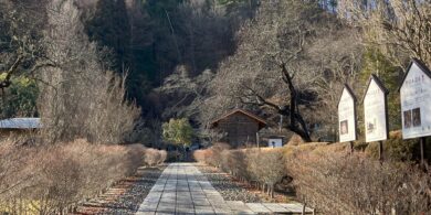 龍王山中禅寺＿長野県上田市＿参道