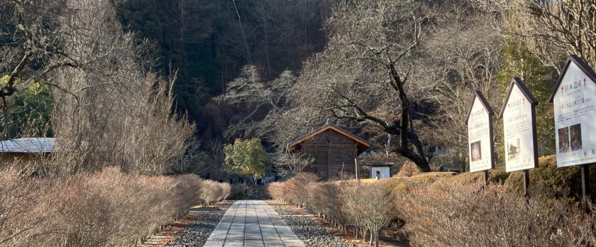 龍王山中禅寺＿長野県上田市＿参道