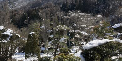 中禅寺｜雪景色