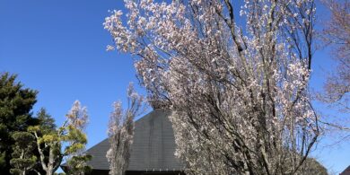 龍王山中禅寺＿長野県上田市＿本堂