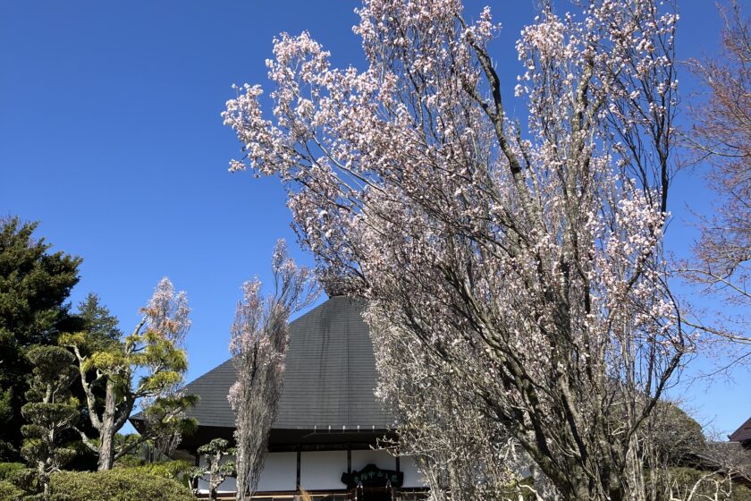 龍王山中禅寺＿長野県上田市＿本堂