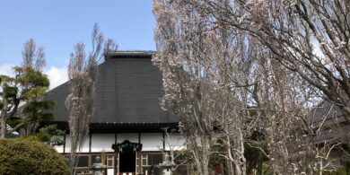 spring