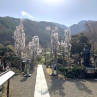 spring4