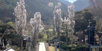 spring4
