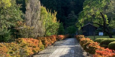 chuzenji temple at autumn 3