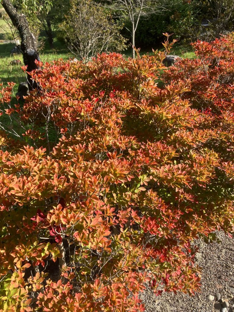 chuzenji temple at autumn 2